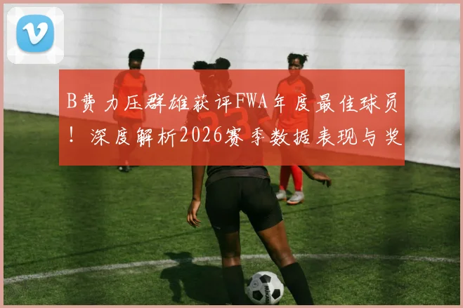 B费力压群雄获评FWA年度最佳球员!深度解析2026赛季数据表现与奖项含金量