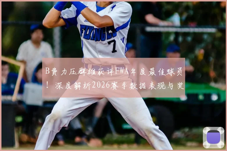 B费力压群雄获评FWA年度最佳球员!深度解析2026赛季数据表现与奖项含金量